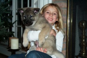 Cole Law Group Blog